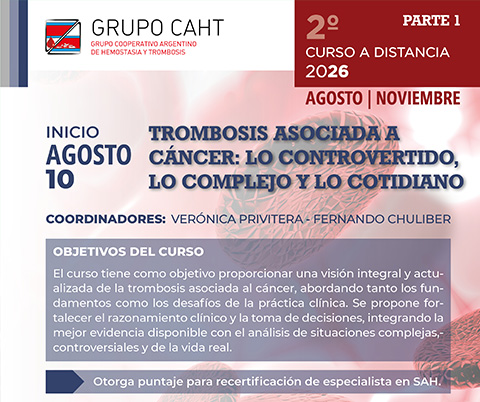 6º LAG-CLL Meeting 2026